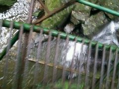 android_upload_pic-藏龙百瀑风景区