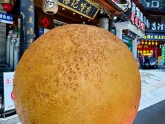 -杨记隆府(重庆总店)