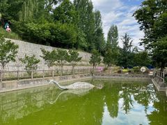 -盛世牡丹苑生态文化旅游区