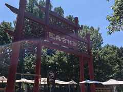 -御林古桑园
