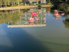 -廊坊文化艺术中心