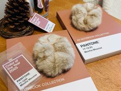 -X88商场(铜仁路店)