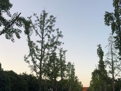 -明故宫遗址公园