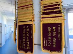 -派美特宠物医院·核磁CT·骨科肿瘤·疑难转诊(沈农禾丰店)