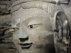 -秦汉胡同国学书院(天鹅湾分馆)