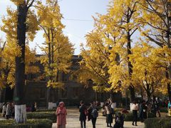 -百林公园-两江幸福广场