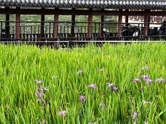 -龙头寺公园