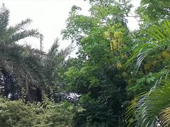 -厦门日月谷温泉渡假村