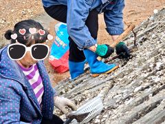 -日照世帆赛基地