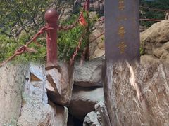 -鲁山国家森林公园