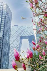 -北京嘉里大酒店·宴会厅婚宴·户外婚礼·生日宴