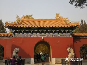 在银杏树下坐了将近一个小时，仰面欣赏这醉人的秋景