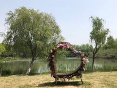 -沙家浜风景区