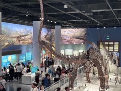 -国家自然博物馆