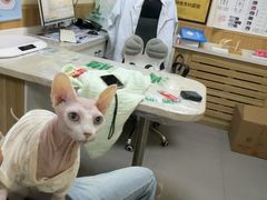 -瑞派宠物医院·24h·骨外科·皮肤科·全科宠物医疗转诊中心(沈阳浑南院)