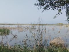 -野鸭湖国家湿地公园