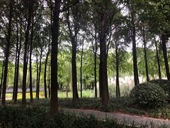 -尚贤河湿地