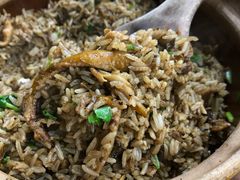 陈皮黄鳝煲仔饭-汤氏美食台山水步特色黄鳝饭(龙津东路店)