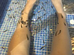 -水晶之星洗浴温泉汗蒸