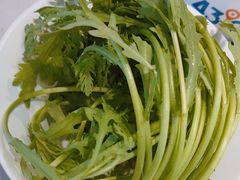-蒙都43°9羊火锅·赤峰美食(桥北店)
