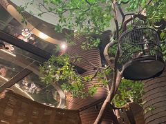 -桂小厨广西菜(万象城店)