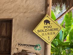 -大象粑粑造纸公园