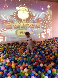 -恐龙探索乐园(磁器口店)