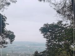 -铁山坪森林公园