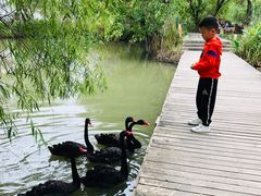 -长兴太湖图影湿地文化园