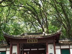 -上海佘山国家森林公园天马山园