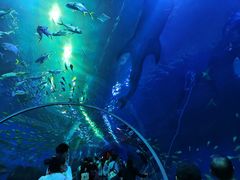 -成都浩海立方海洋公园