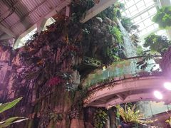 -正佳雨林生态植物园