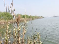 -漕湖湿地公园