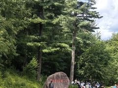 -五营红松林海景区