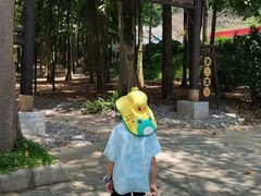 -广州市帽峰山景区