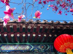 -潭柘寺景区