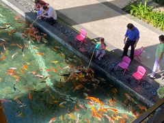 -三亚湾海居铂尔曼度假酒店