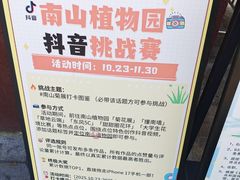 -大金鹰园