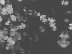 -波塞冬旅游度假区