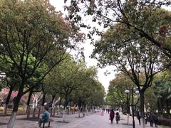 -汉口江滩-五福广场