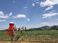 -狼牙山风景区