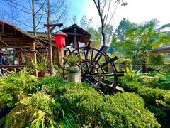 -青城甲(青城山店)