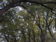 -蜀冈西峰生态公园