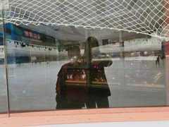 -冠军冰场CHAMPION RINK(环球银泰城店)
