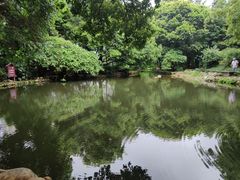 -成都市活水公园