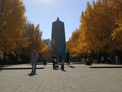 -玲珑塔公园