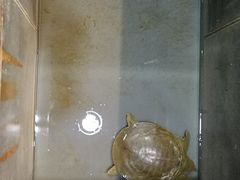 -鲁城往事(游客中心店)