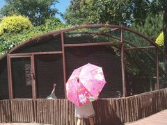 -南宫五洲植物乐园