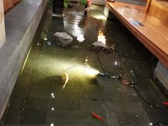 -松子料理(亮马桥店)