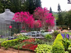 景点-深圳仙湖植物园
